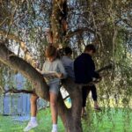 Colegio Blue Radio Viva FM