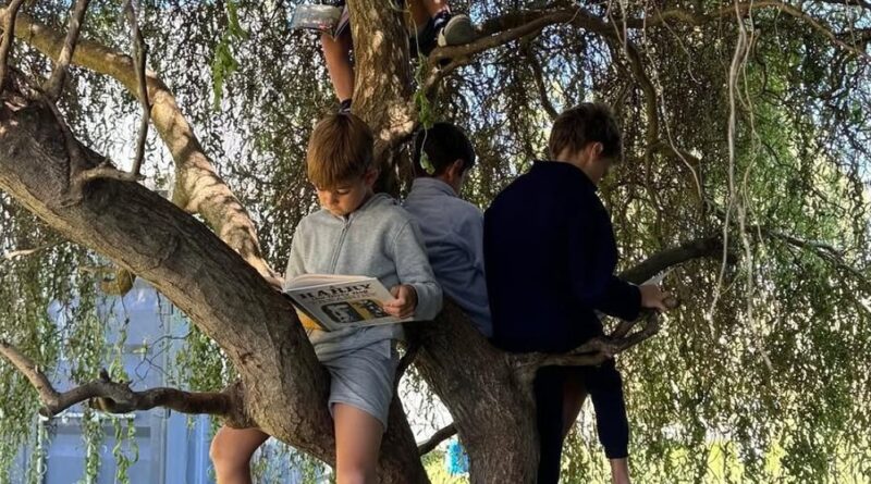 Colegio Blue Radio Viva FM